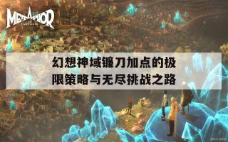 幻想神域镰刀加点的极限策略与无尽挑战之路