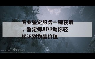 专业鉴定服务一键获取，鉴定师APP助你轻松识别物品价值