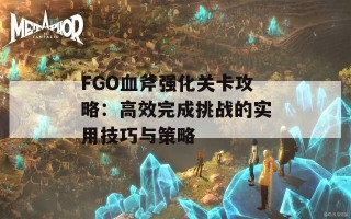 FGO血斧强化关卡攻略：高效完成挑战的实用技巧与策略