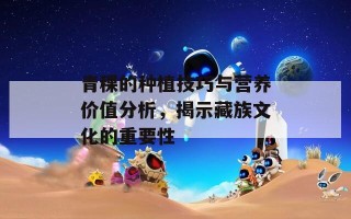 青稞的种植技巧与营养价值分析，揭示藏族文化的重要性