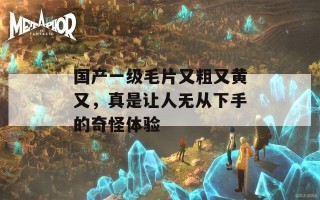 国产一级毛片又粗又黄又，真是让人无从下手的奇怪体验