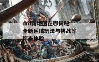 dnf新地图在哪揭秘全新区域玩法与挑战等你来体验