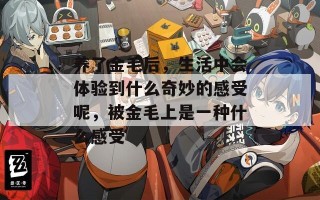 养了金毛后，生活中会体验到什么奇妙的感受呢，被金毛上是一种什么感受