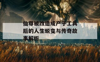 仙尊被改造成产子工具后的人生蜕变与传奇故事解析