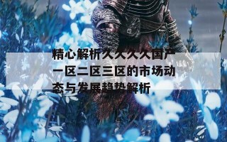 精心解析久久久久国产一区二区三区的市场动态与发展趋势解析