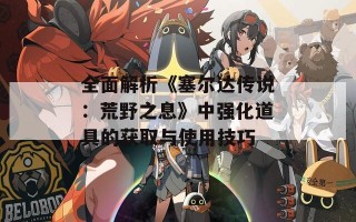 全面解析《塞尔达传说：荒野之息》中强化道具的获取与使用技巧