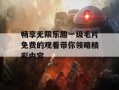 畅享无限乐趣一级毛片免费的观看带你领略精彩内容