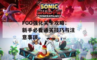 FGO强化关卡攻略：新手必看通关技巧与注意事项