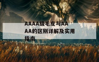 AAAA级毛皮与AAAA的区别详解及实用指南