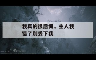 我真的很后悔，主人我错了别丢下我