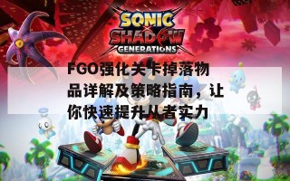 FGO强化关卡掉落物品详解及策略指南，让你快速提升从者实力