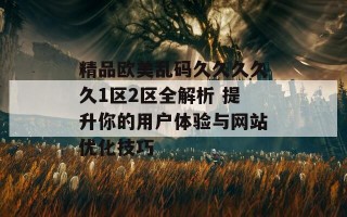 精品欧美乱码久久久久久1区2区全解析 提升你的用户体验与网站优化技巧