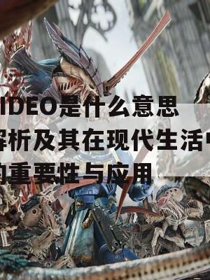 VIDEO是什么意思解析及其在现代生活中的重要性与应用