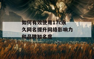 如何有效使用17c永久网名提升网络影响力和品牌知名度