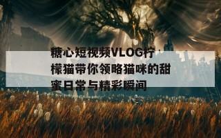 糖心短视频VLOG柠檬猫带你领略猫咪的甜蜜日常与精彩瞬间