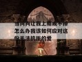 当狗狗让我上瘾戒不掉怎么办我该如何应对这份无法抗拒的爱