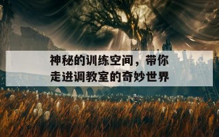 神秘的训练空间，带你走进调教室的奇妙世界