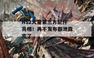 NS2大量第三方配件亮相！再不发布都泄露完了