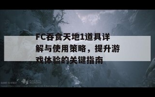 FC吞食天地1道具详解与使用策略，提升游戏体验的关键指南