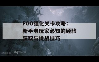 FGO强化关卡攻略：新手老玩家必知的经验获取与挑战技巧