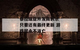 泰拉瑞亚开发商表示 只要还有最终更新 游戏就永不消亡