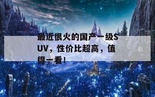 最近很火的国产一级SUV，性价比超高，值得一看！