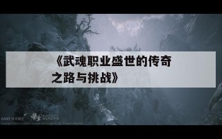 《武魂职业盛世的传奇之路与挑战》