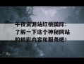 午夜资源站红桃国际：了解一下这个神秘网站的精彩内容和服务吧！