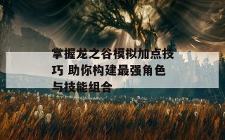 掌握龙之谷模拟加点技巧 助你构建最强角色与技能组合