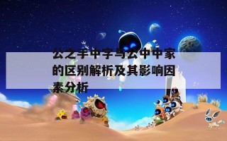 公之手中字与公中中家的区别解析及其影响因素分析