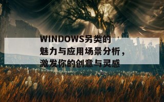 WINDOWS另类的魅力与应用场景分析，激发你的创意与灵感