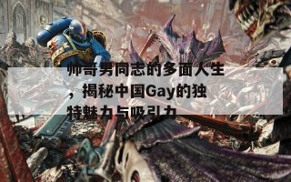 帅哥男同志的多面人生，揭秘中国Gay的独特魅力与吸引力