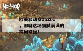 欧美和动交ZoZ0z，聊聊这场猫腻满满的跨国碰撞！