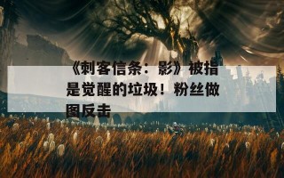 《刺客信条：影》被指是觉醒的垃圾！粉丝做图反击