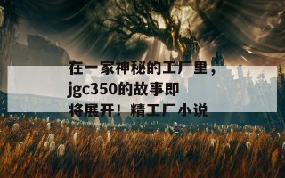 在一家神秘的工厂里，jgc350的故事即将展开！精工厂小说