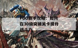 FGO新手攻略：如何在30级突破关卡提升战斗力