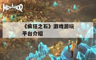 《疯狂之石》游戏游玩平台介绍