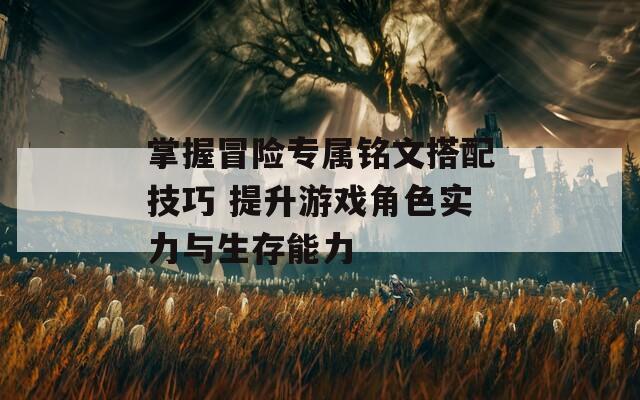 掌握冒险专属铭文搭配技巧 提升游戏角色实力与生存能力-第1张图片-商贸手游网