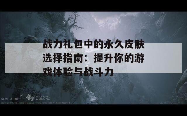 战力礼包中的永久皮肤选择指南：提升你的游戏体验与战斗力-第1张图片-商贸手游网