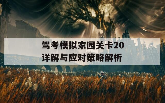 驾考模拟家园关卡20详解与应对策略解析-第1张图片-商贸手游网