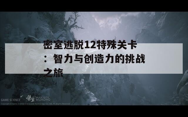 密室逃脱12特殊关卡：智力与创造力的挑战之旅-第1张图片-商贸手游网