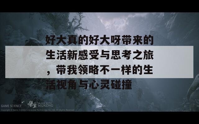 好大真的好大呀带来的生活新感受与思考之旅，带我领略不一样的生活视角与心灵碰撞-第1张图片-商贸手游网