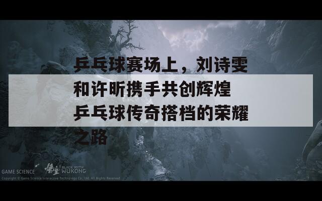 乒乓球赛场上，刘诗雯和许昕携手共创辉煌 乒乓球传奇搭档的荣耀之路-第1张图片-商贸手游网