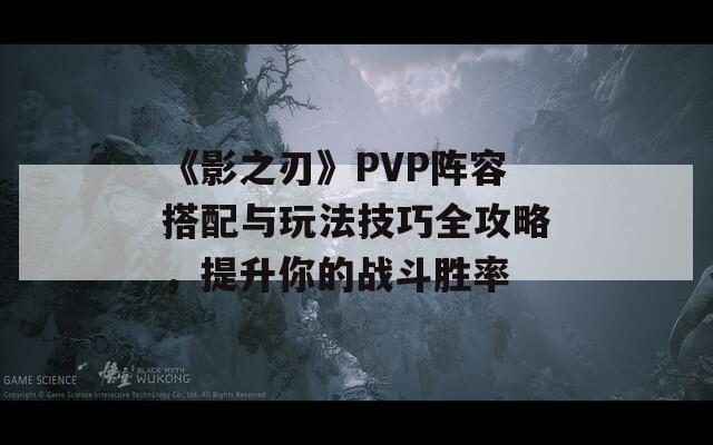 《影之刃》PVP阵容搭配与玩法技巧全攻略，提升你的战斗胜率-第1张图片-商贸手游网