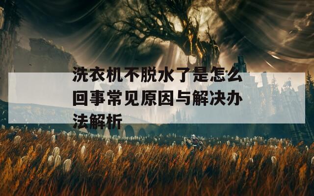 洗衣机不脱水了是怎么回事常见原因与解决办法解析-第1张图片-商贸手游网