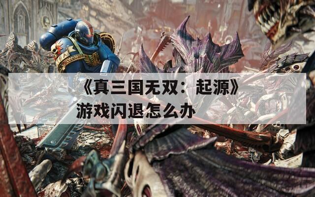 《真三国无双：起源》游戏闪退怎么办-第1张图片-商贸手游网