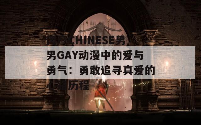 国产CHINESE男男GAY动漫中的爱与勇气：勇敢追寻真爱的心路历程-第1张图片-商贸手游网