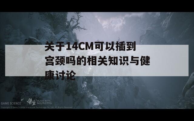 关于14CM可以插到宫颈吗的相关知识与健康讨论-第1张图片-商贸手游网