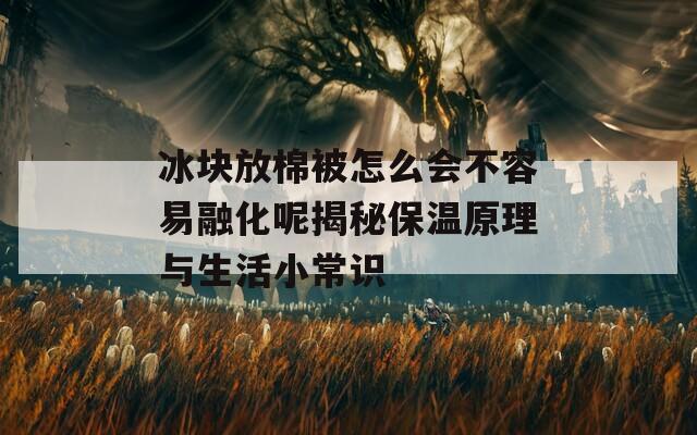 冰块放棉被怎么会不容易融化呢揭秘保温原理与生活小常识-第1张图片-商贸手游网